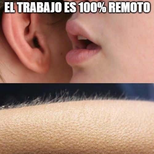 Whisper in Ear Goosebumps: Remote Work 100% Meme - Funny Ear Whisper Reaction Whisper in Ear Goosebumps: Remote Work 100% Meme - Funny Ear Whisper Reaction