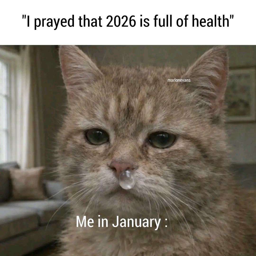 Cat with snot bubble and new year's resolution / Me in January