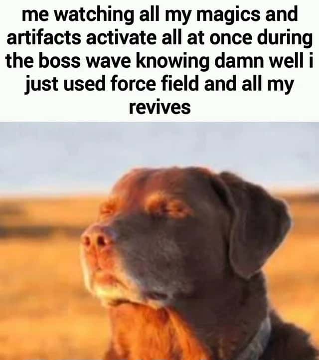 Dog accepting fate meme dying in boss wave Dog accepting fate meme dying in boss wave