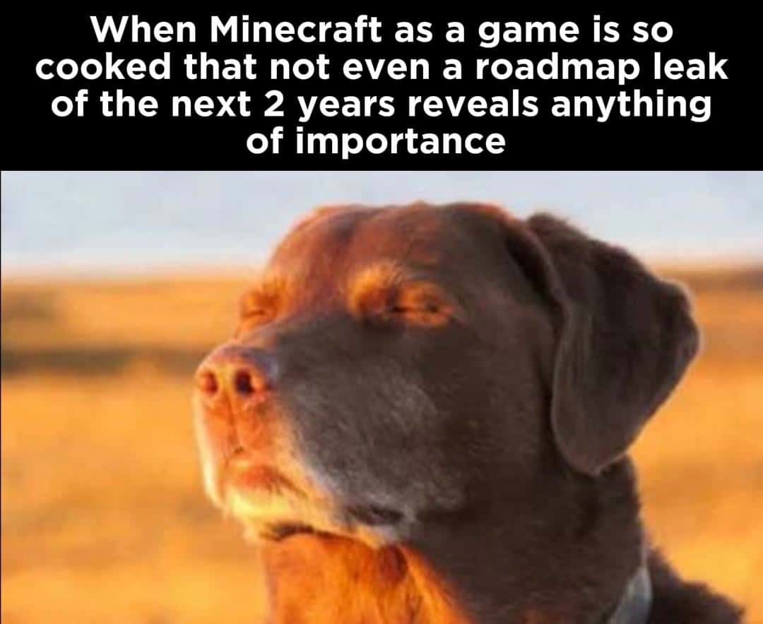Dog accepting fate meme Minecraft roadmap leak reveals nothing Dog accepting fate meme Minecraft roadmap leak reveals nothing