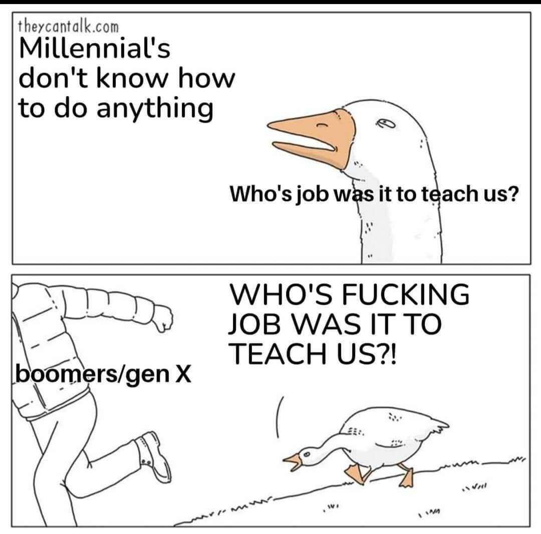 Goose chasing guy meme boomers teaching millennials