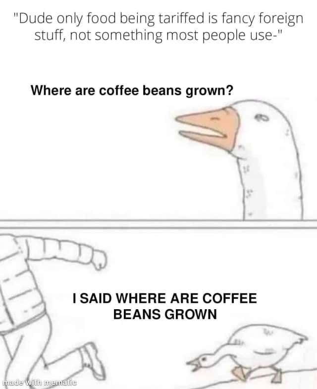 Goose chasing guy meme asking where coffee beans grown