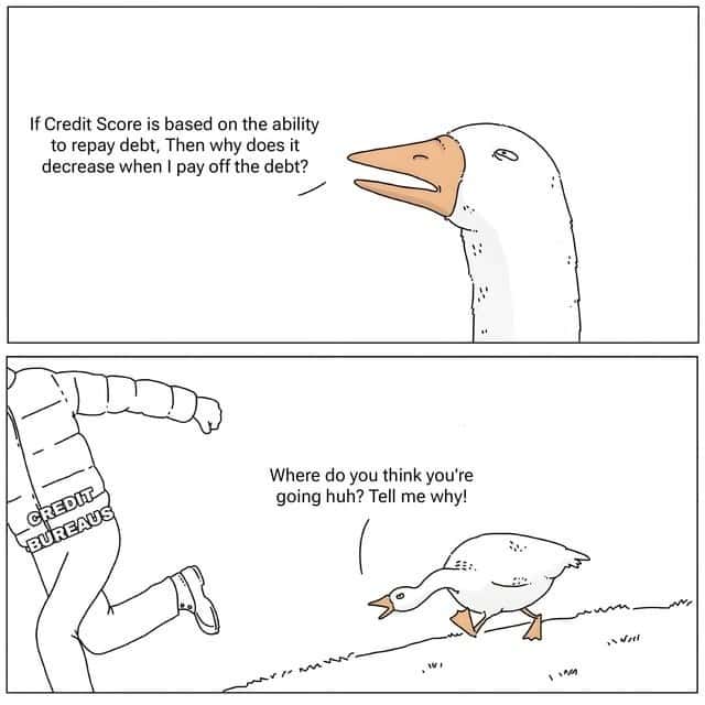 Goose chasing guy meme credit bureau after debt payoff
