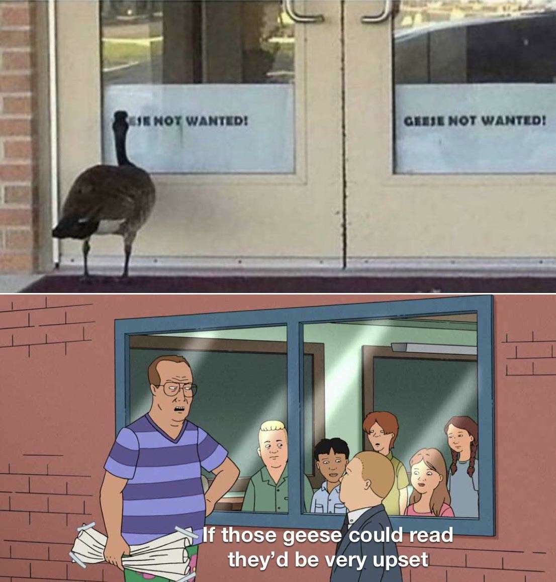 If those kids could read meme geese banned at door