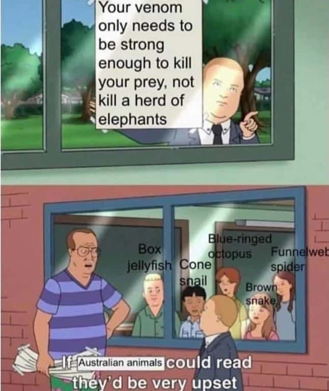If those kids could read meme deadly animals getting roasted