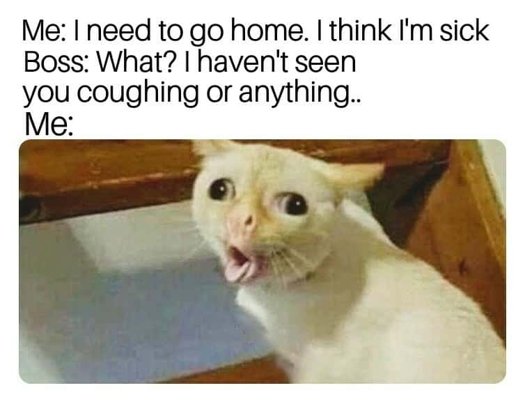 Coughing cat meme coughing to boss to get sick leave