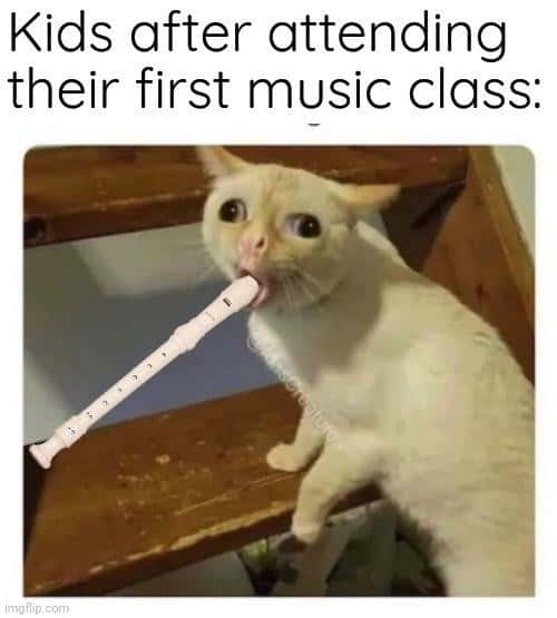Coughing cat meme playing recorder after first music class