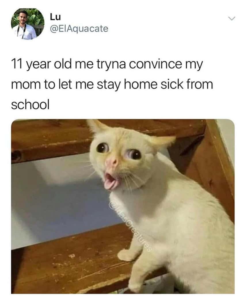 Coughing cat meme faking sick to stay home from school