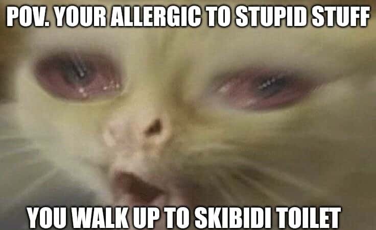 Coughing cat meme allergic to stupid stuff near skibidi toilet