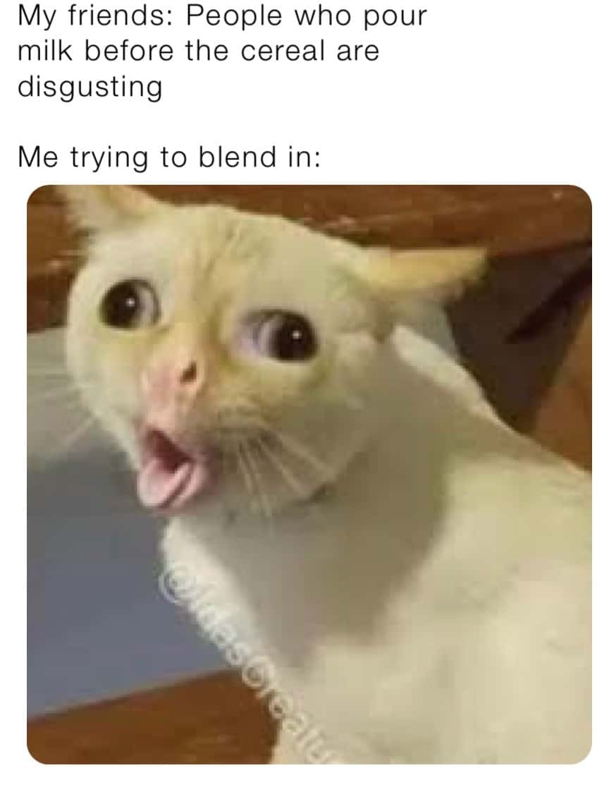 Coughing cat meme trying to blend in over cereal milk habit