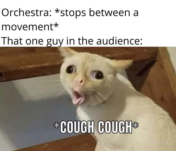Coughing cat meme coughs at concert