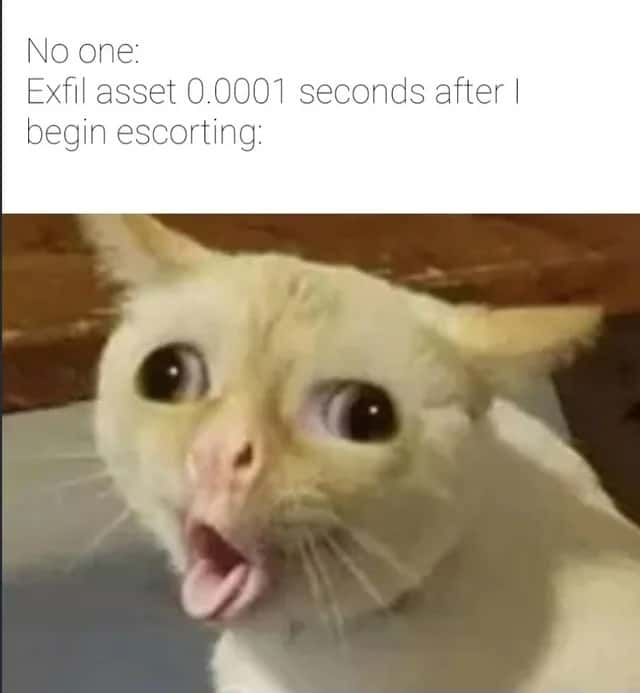 Coughing cat meme panics when asset exfils instantly