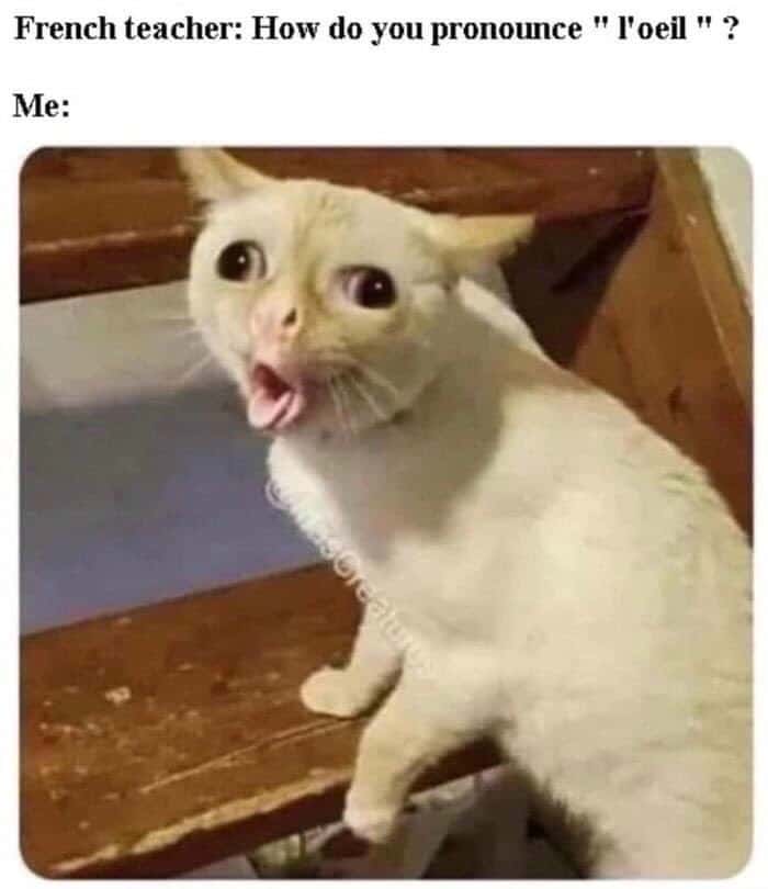 Coughing cat meme struggling with french pronunciation