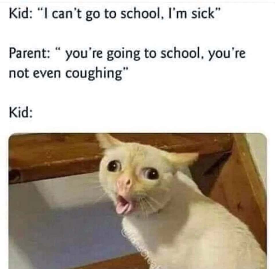 Coughing cat meme faking cough to skip school