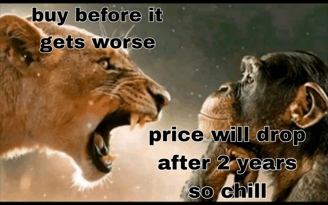 Lion yelling at monkey meme arguing over future price changes