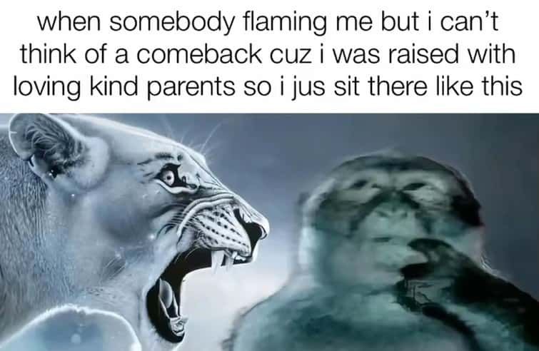Lion yelling at monkey meme can't think of comeback when flamed