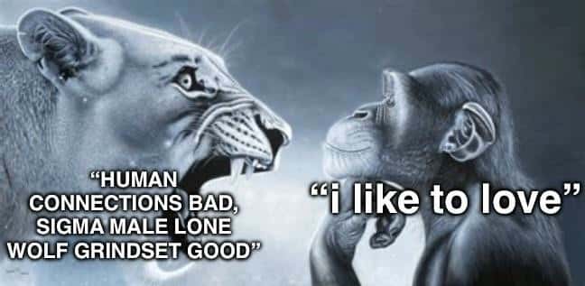 Lion yelling at monkey meme arguing over sigma grindset vs love