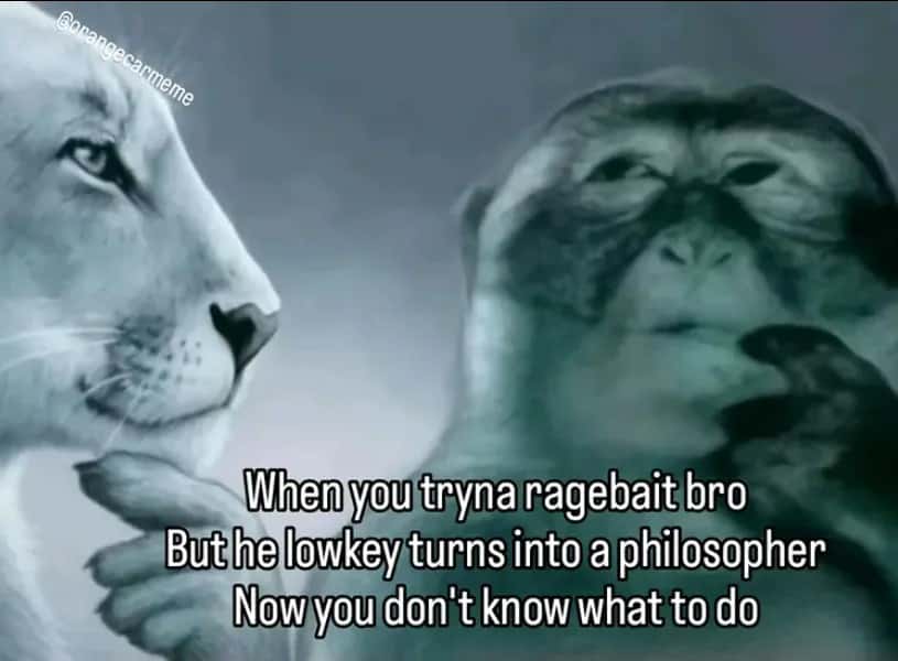 Lion yelling at monkey meme trying to ragebait bro becomes philosopher