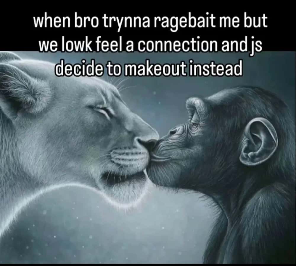 Lion yelling at monkey meme make out instead of ragebait
