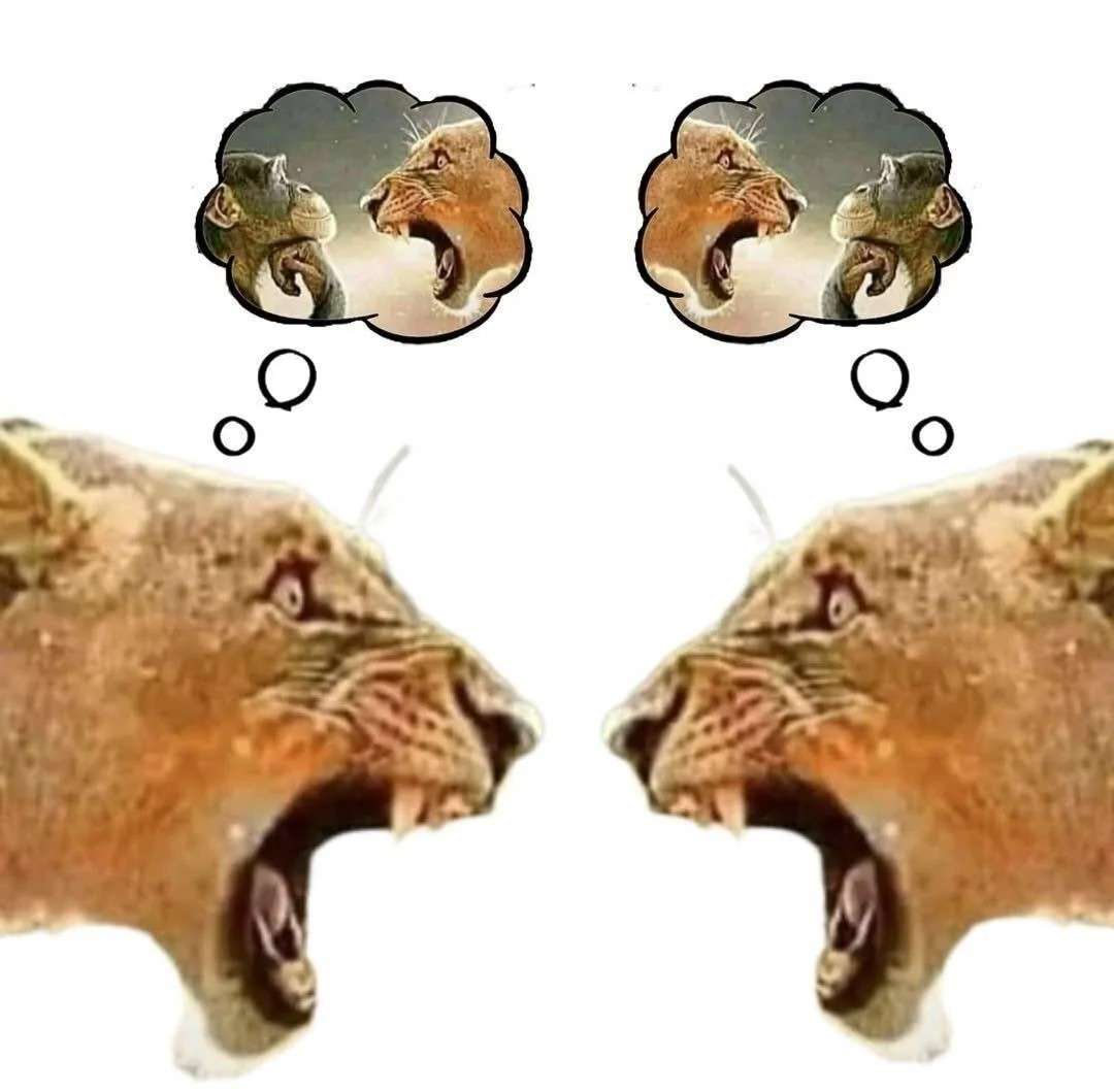 Lion yelling at monkey meme two lions yell at each other