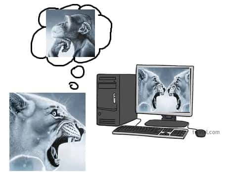 Lion yelling at monkey meme uses pc