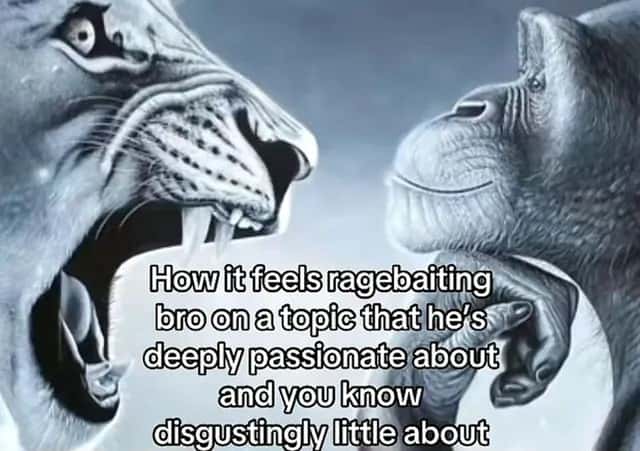 Lion yelling at monkey meme ragebaiting bro on his passionate topic