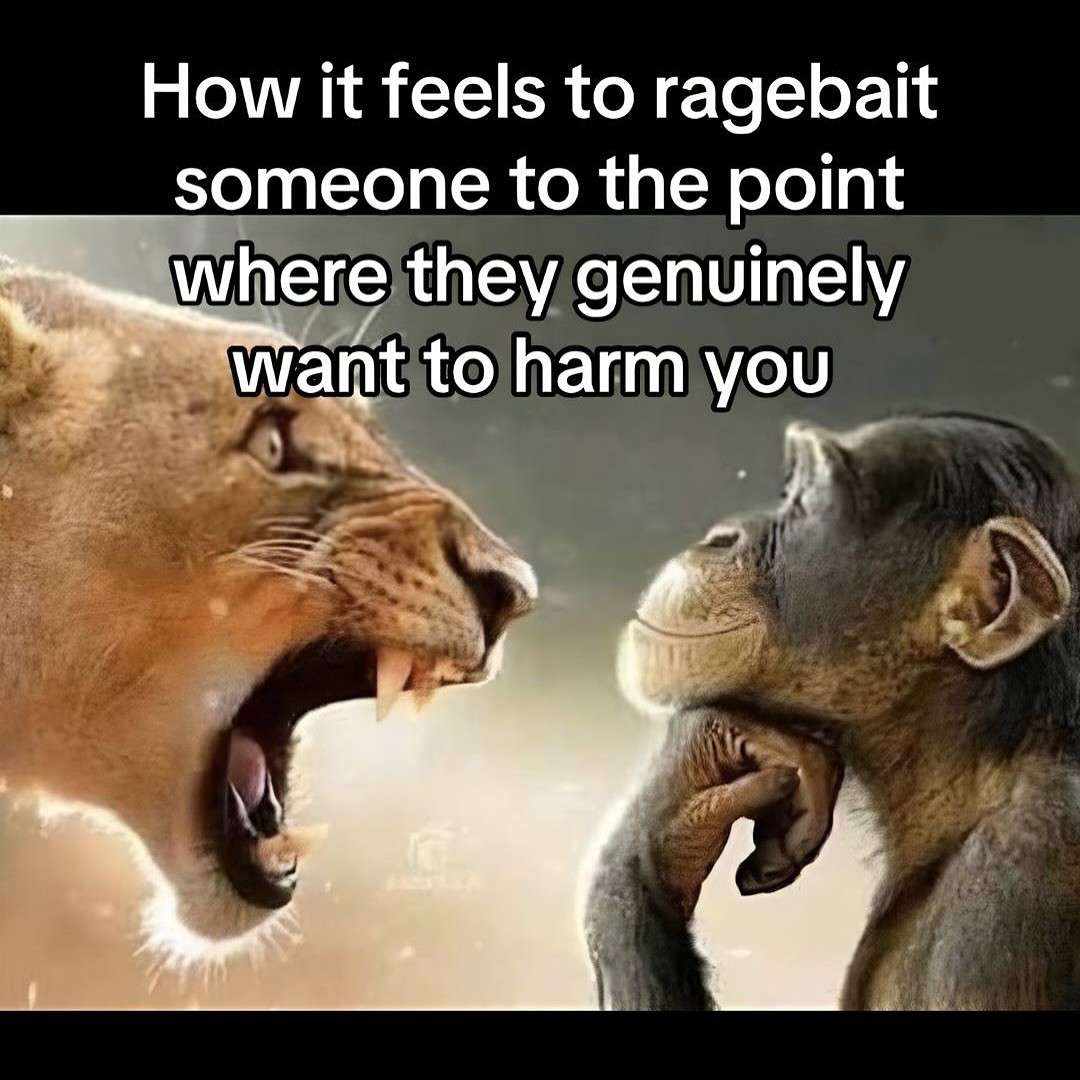 Lion yelling at monkey meme ragebait others till they want to harm you