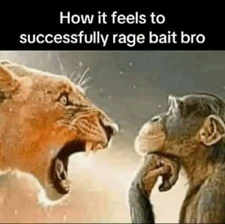 Lion yelling at monkey meme successfully rage bait bro