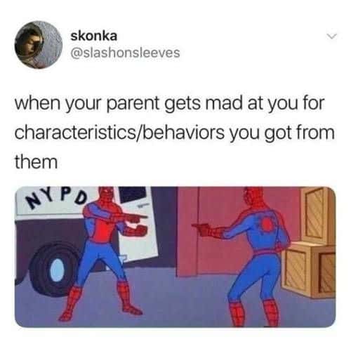 Spider-man pointing meme parent mad at you for traits you got from them