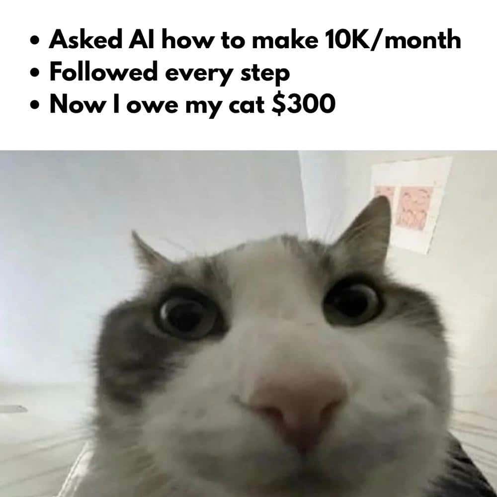 Cat looks inside meme following AI steps and owing cat 0