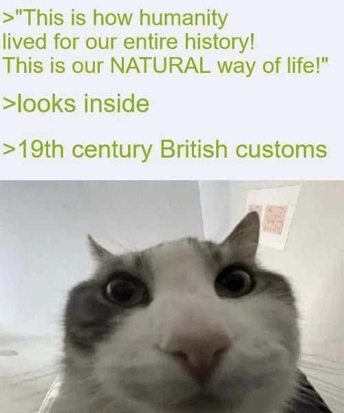 Cat looks inside meme sees 19th century British customs