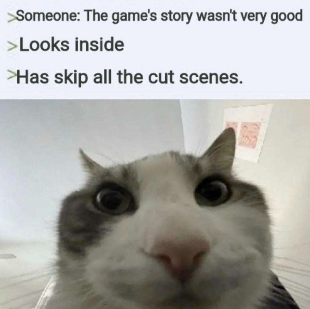 Cat looks inside meme skips cut scenes then hates story