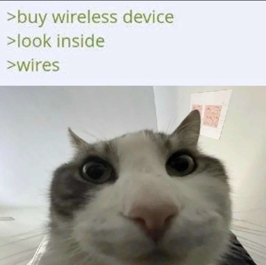 Cat looks inside meme finds wires in wireless device