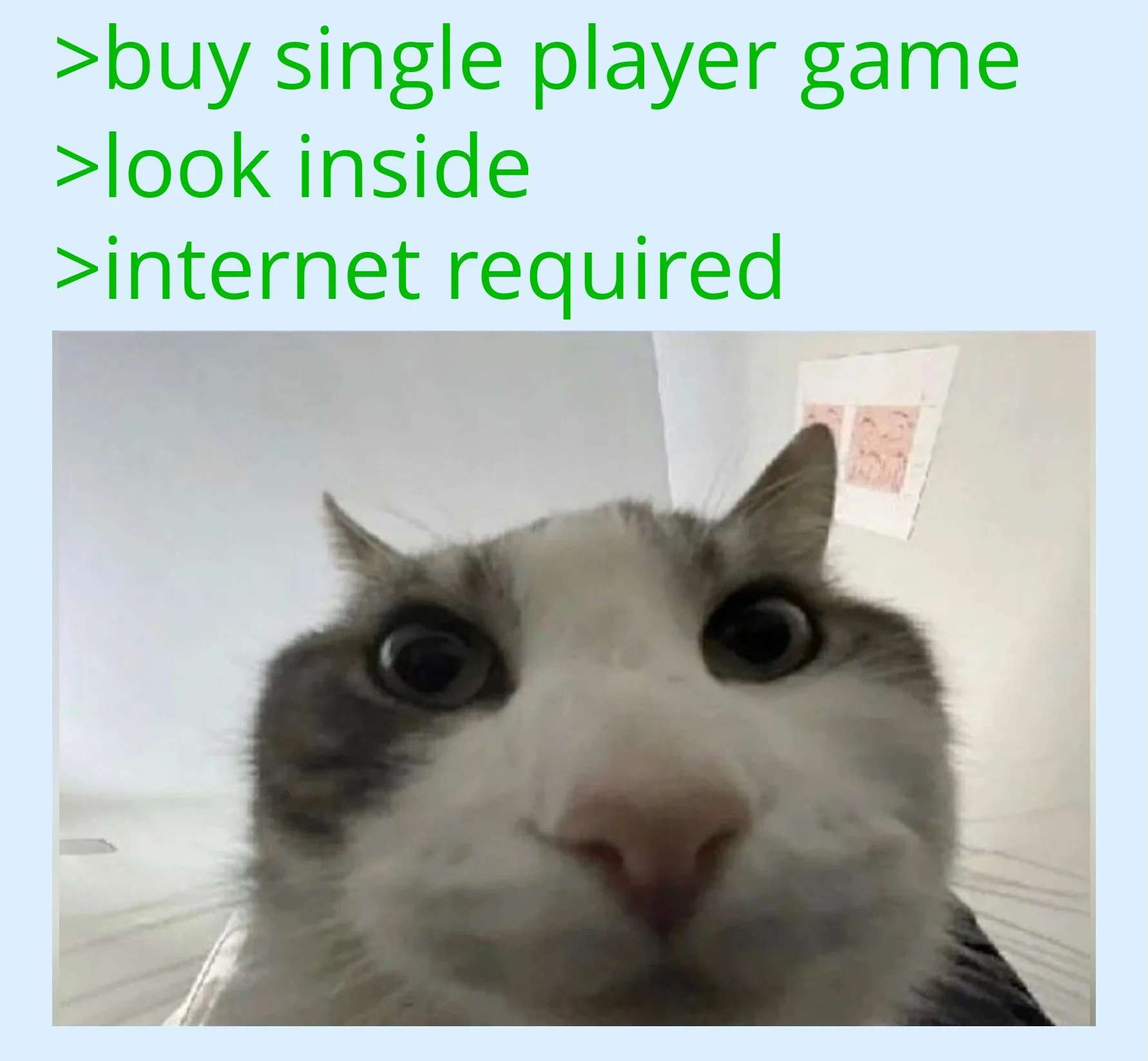 Cat looks inside meme sees internet required offline rage