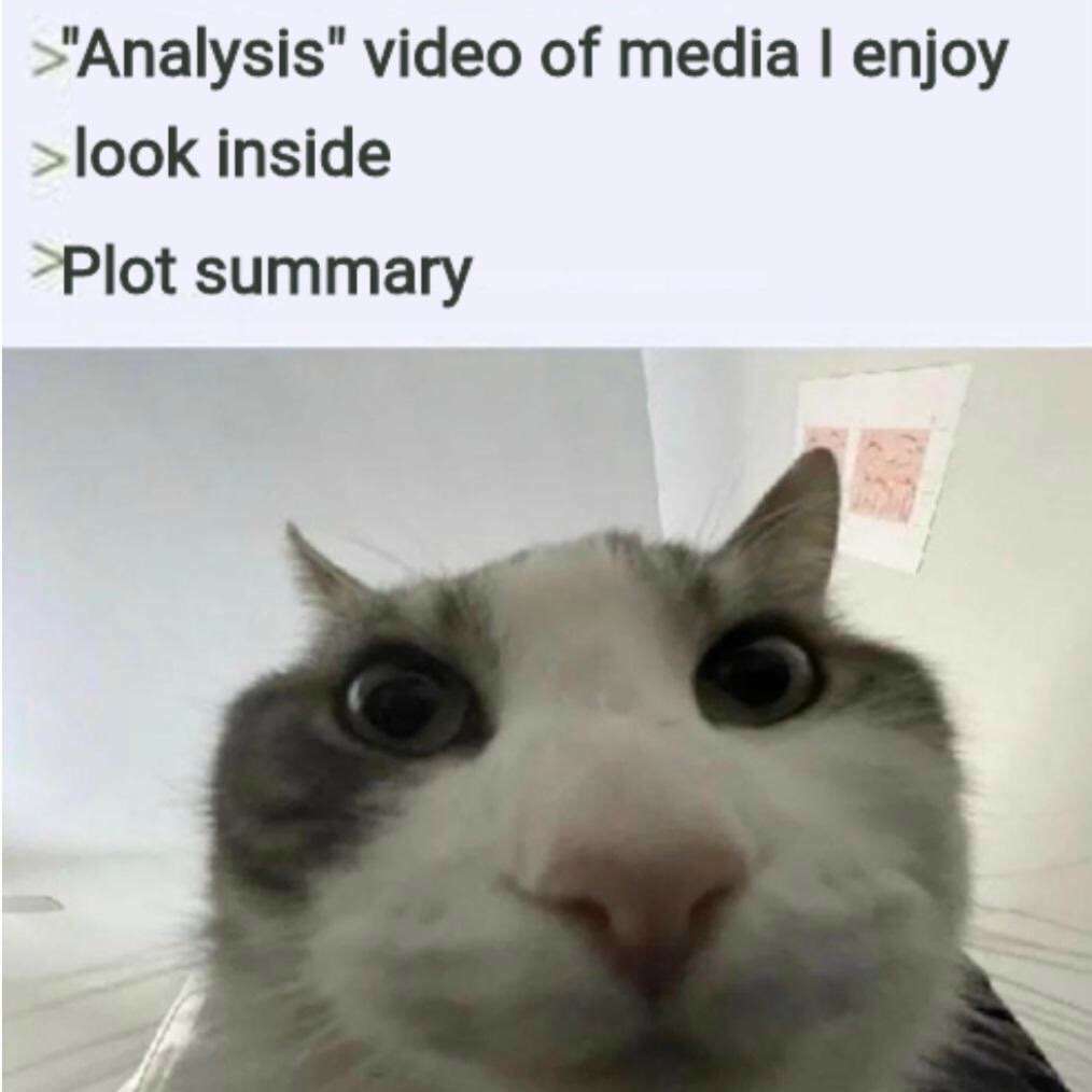 Cat looks inside meme finds plot summary disappointment