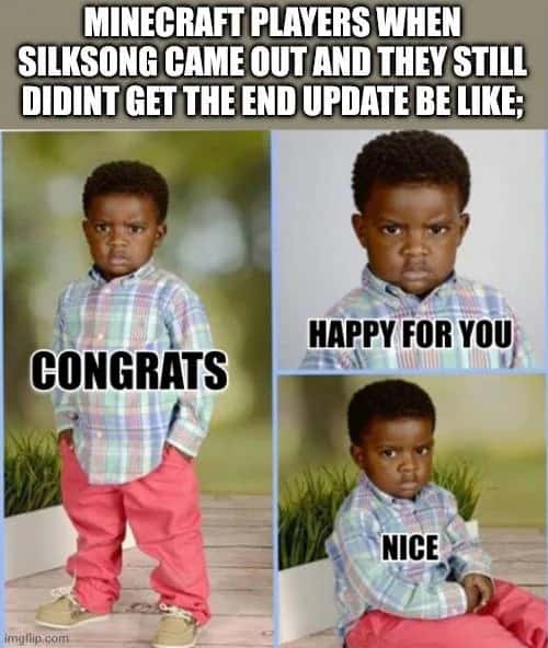 Congrats happy for you meme Minecraft players upset no end update when Silksong released