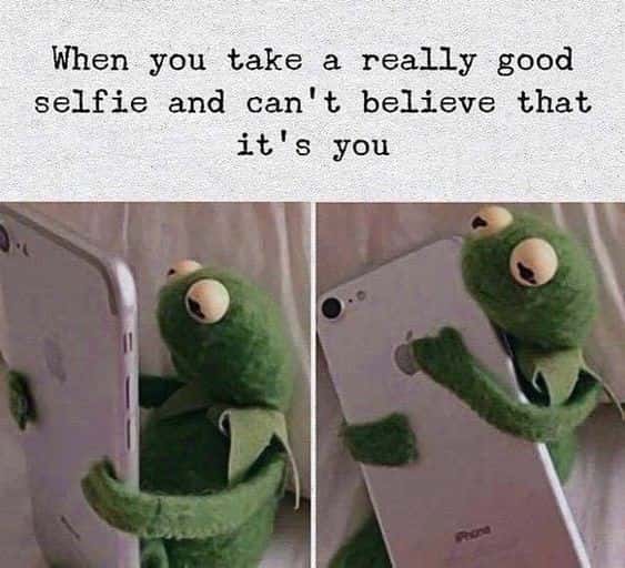 Kermit hugging phone meme stunned by great selfie