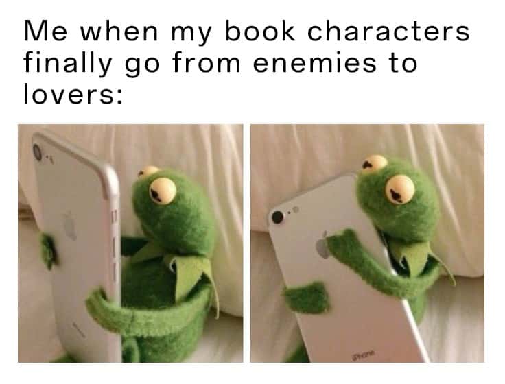 Kermit hugging phone meme excited for enemies to lovers book ship