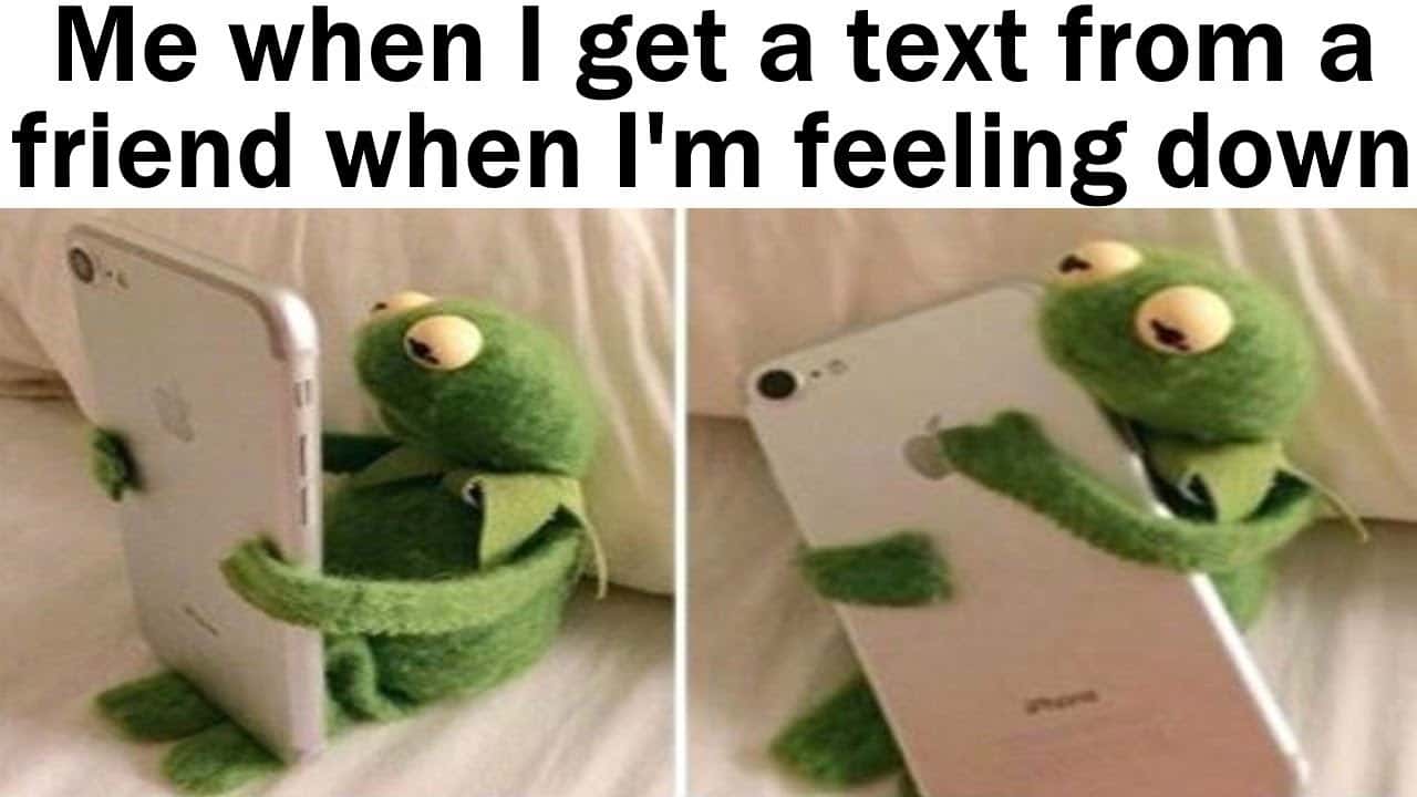 Kermit hugging phone meme gets text from friend when feeling down