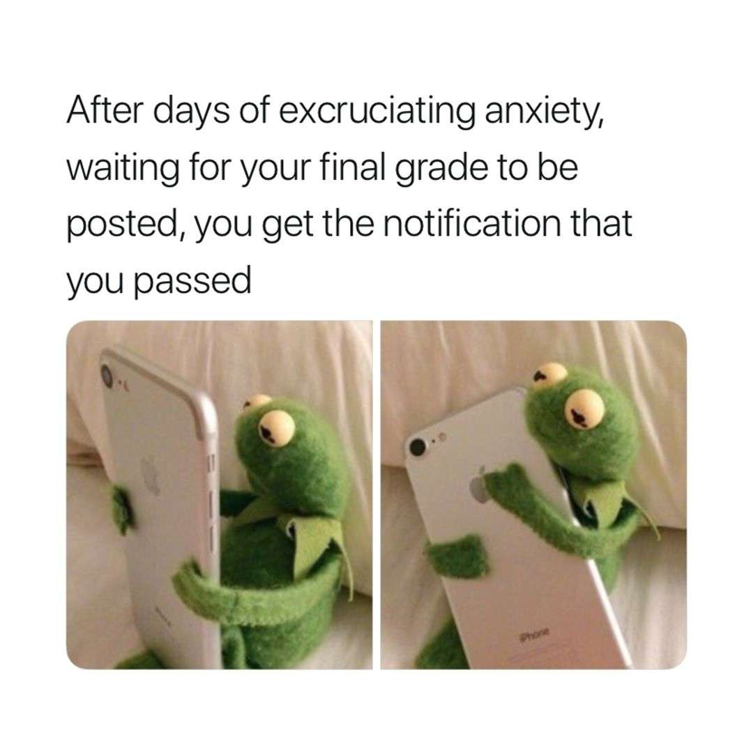 Kermit hugging phone meme celebrating passing final grade