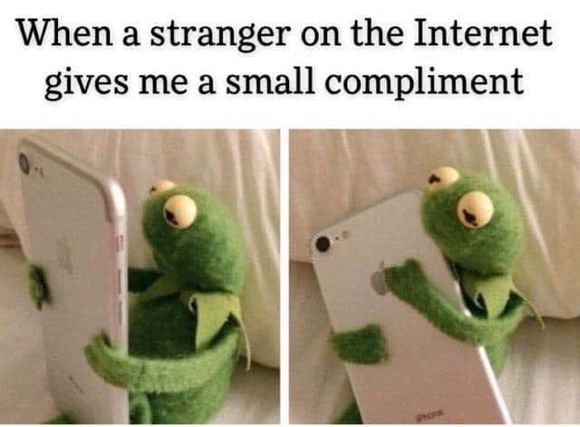 Kermit hugging phone meme hugs phone after getting internet stranger compliment