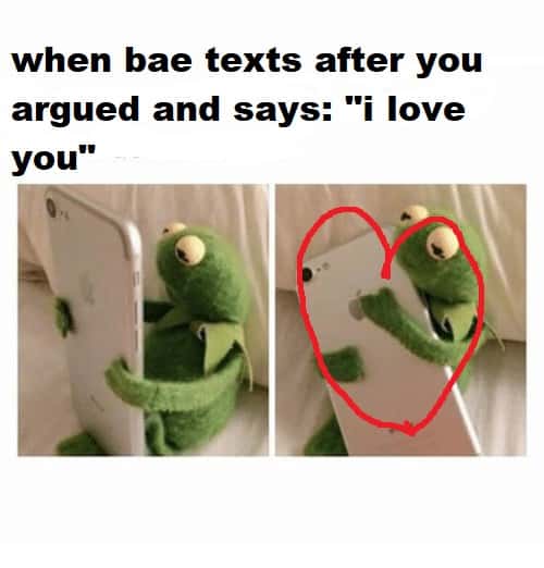 Kermit hugging phone meme happy after bae texts i love you