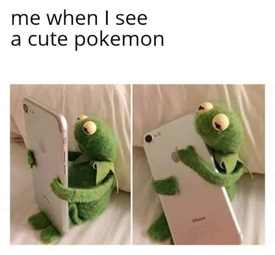 Kermit hugging phone meme sees cute pokemon