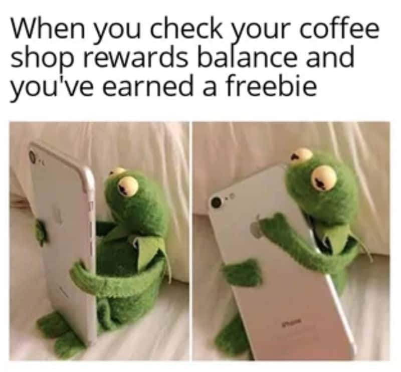 Kermit hugging phone meme excited for coffee freebie