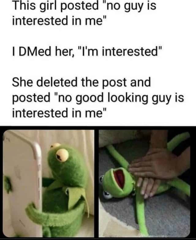 Kermit hugging phone meme dmed girl and got rejected