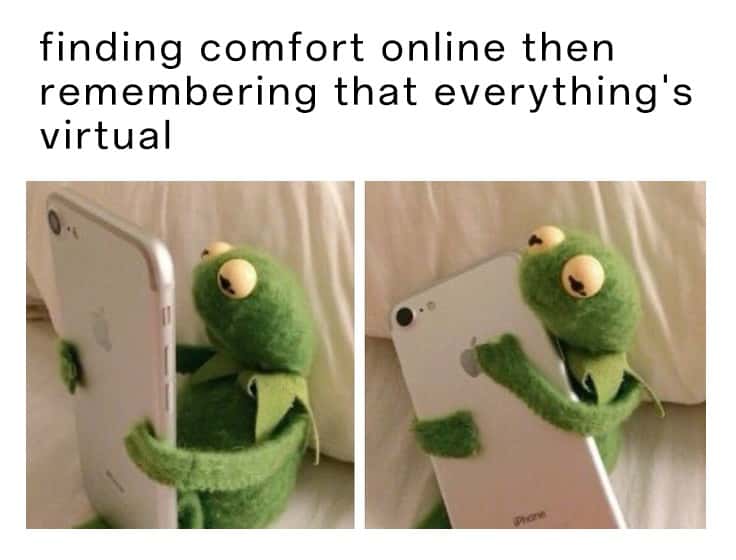 Kermit hugging phone meme finding comfort online then remembering everything's virtual
