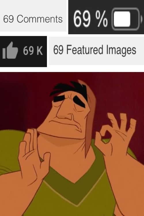 Pacha perfect meme likes 69 stats