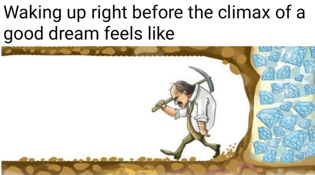 Digging for diamonds meme leaves right before dream climax