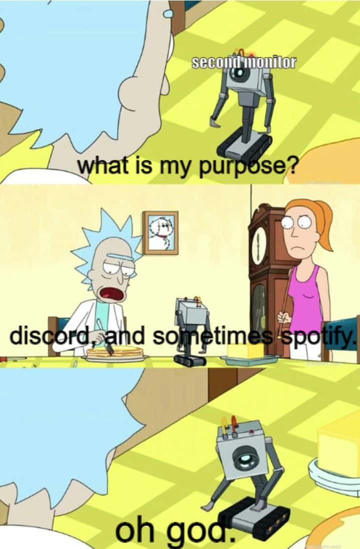 What is my purpose meme second monitor for Discord