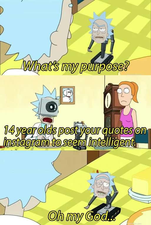 What is my purpose meme quoted by 14-year-olds on Instagram